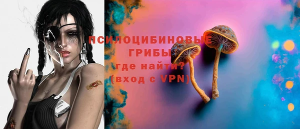 спайс Вяземский