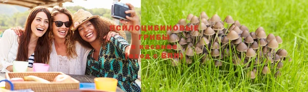 тгк Вязьма