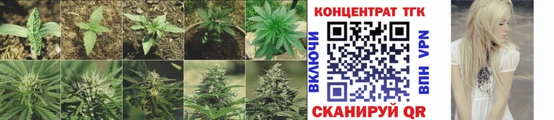 сколько стоит даркнет формула Дистиллят ТГК гашишное масло Печоры kraken зеркало